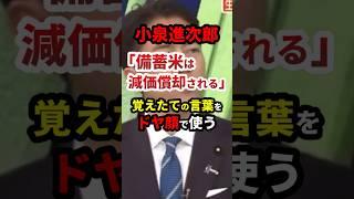 ㊗️40万再生！小泉進次郎「備蓄米はなんと減価償却されるんです」#政治 #shorts