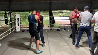 Technical Boxing Workout to improve Reaction Time On Punches | Boxing Workout | Reyal For u | boxing