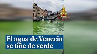 El agua del Gran Canal de Venecia se tiñe de un misterioso color verde fluorescente