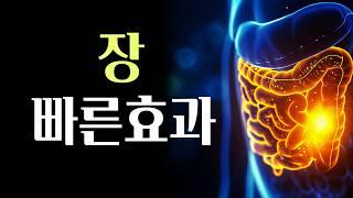 장을 치유함으로 완전히 바뀝니다 | 뇌와 마이크로바이옴 장뇌축 이론