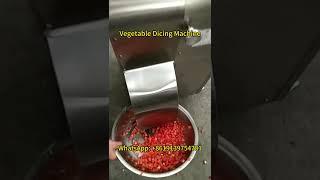 FAST & EASY Tomato Dicer Machine | Vegetable Dicer Machine