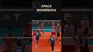 СВЯЗКА РЕШАЕТ #рек #volleyball.подписаться на канал