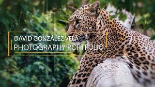 WILDLIFE PHOTOGRAPHY |  David González Vela