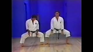 Goju ryu kata. Sepai. Teaching  kata.