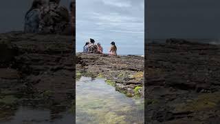 So peaceful women with furious ocean waves!!! #shorts #chojus #beach #sydney