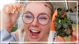 WISHLIST Plant Shop Tour & BIG Haul! Go Houseplant Shopping With Me!