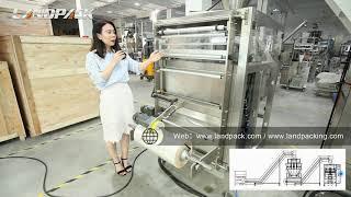 Michelle Explains In Detail How The Multihead Weigher Packing Machine Works