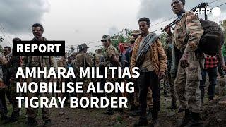 'We won't back down': Amhara militias rush to Tigray border | AFP