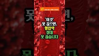 ‘이것’ 못 끊으면, 혈압약 절대 못 끊습니다.  l 혈압 관리 ㅣ 혈관 건강 ㅣ 고혈압 ㅣ 고혈압 원인 ㅣ 고혈압에 안 좋은 음식 ㅣ