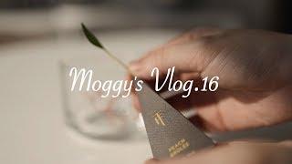 Vlog.16  周日一人食/酥脆的火腿可颂/消灭奶油奶酪的方法/做个很多层的芝士巧克力蛋糕吧/喵孩子们热闹的下午茶