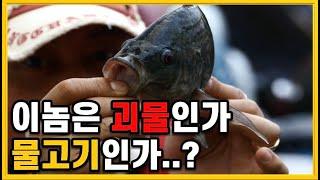 추운겨울에는 따듯하게 이곳에서 괴물사냥을!!(설동낚시터)