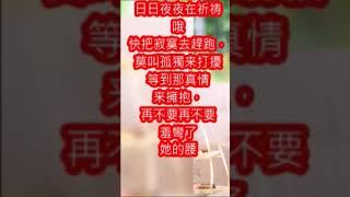 翁倩玉--含羞草