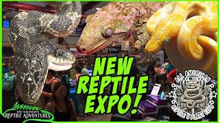 TOURING A NEW REPTILE EXPO! | All American Reptile and Plant Expo, Denver, Co.