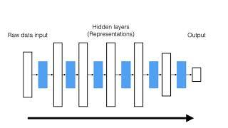 A bird's eye view of neural networks