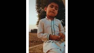 Dill Karna Tuki 1 Gal Aakhan | Pothwari Sher | Cute Little Boy  | Fantastic Poetry  ️