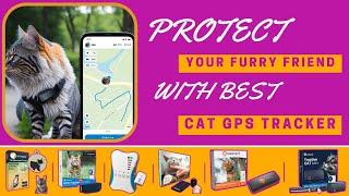 Best Cat GPS Tracker (Never Lose Sight of Your Furry Friend)