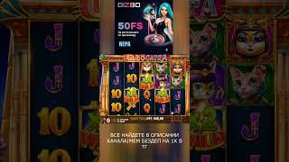 котики дали показательный заносик#shorts #casino #lord #заносынедели #зубарев #казино #зубаревзанос