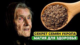 У бабушки в 85 лет сосуды лучше, чем в 18! ВСЕГО 2 чайных ложек в месяц! Чудо СЕМЯН УКРОПА