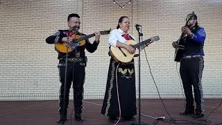 TRIO MEXICO EL CONDOR PASA