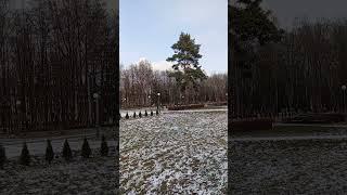 Красивая песня. Пейзажи Жодино. #зима #жодино #беларусь #иринакруг