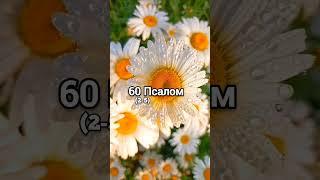 ПСАЛОМ 60 (2-5)
