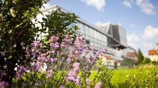 Öko-Lehrpfad MOTIP DUPLI - Luft-Aufnahmen