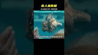 食人魚到底會不會吃人？這條食人魚會告訴你答案！ #科幻 #宅家dou劇場 #我的觀影報告 #恐怖電影 #漢尼拔 #電影解說 #驚悚 #故事