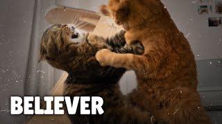 Imagine Dragons - Believer (Cover By Cats) | Kittisaurus