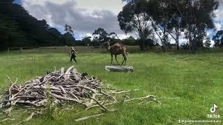 Training with my Camel Catapult