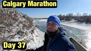 Calgary Marathon Training Vlog || Day 37 COLD AF trails!