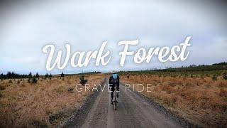 Wark Forest Gravel Ride ‍️ | Exploring Northumberland’s Hidden Trails