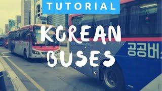 How to Ride the Bus in Korea | Getting Around in Korea