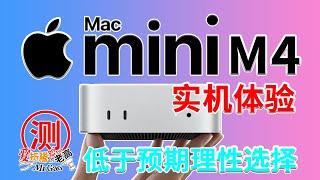 真有那么好？低于预期理性选择！苹果Apple Macmini M4实机体验 性能硬盘无线烤机噪音温度测试 扩展雷电万兆网卡 M.2硬盘