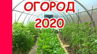 ОГОРОД 2020/ИЗ ГОРОДА В ДЕРЕВНЮ /2.08.20