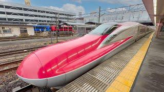 Riding the Japan's Bullet Train l KOMACHI Green Car  ️