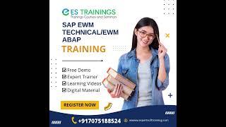 SAP EWM Technical / EWM ABAP Expert looking to level up your skills?  EWM development?
