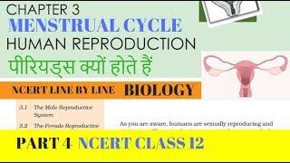 Part-4 HUMAN REPRODUCTION (MENSTRUAL CYCLE) chapter-3 NCERT class 12th biology