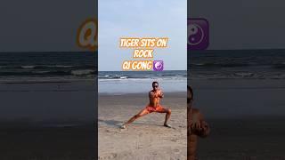 Eye of the Tiger Qi Gong #qigong #fitness #exercise #beach