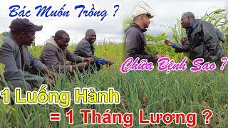 Công Giáp || Bác Trưởng C.a Huyện, Mong Muốn Được Canh Tác Chung Với Người Dân Malipi ??? Vì Sao ???