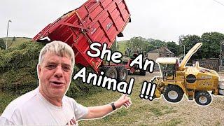 Second Cut Silage Time! Overspill Pit Edition | Deutz & New Holland in Action