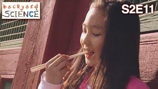 Backyard Science | S2E11 | Create your own kimchi