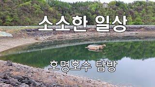 소소한 일상. 가평 호명산.호명호수.양수발전소(2024.04.24)