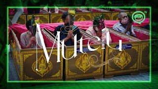 Thailand’s Coffin Ceremony & Elephant Walking Ritual | Mutelu Ep 4 |  Coconuts TV