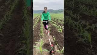 Fadu gadgets |  smart appliances | home cleaning | invention for the kitchen #dwg#shorts#homegadgets