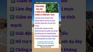 Bí Quyết Giữ Gìn Sức Khỏe Toàn Diện | Sức Khỏe và Làm Đẹp 360#ChămSócSứcKhỏe #LàmĐẹpTựNhiên #shorts