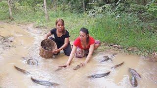 Catch fish in the rainforest, Cooking fish with chili sauce for food in forest