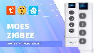 Zigbee remote control for smart home Moes 4 buttons. Overview, integration into Home Assistant