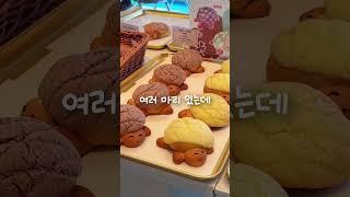 #거북이빵 먹으러 #거북섬 갈래?