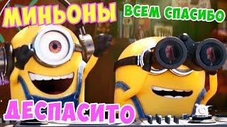 DESPACITO - МИНЬОНЫ! ПАРОДИЯ - ВСЕМ СПАСИБО! ГАДКИЙ Я 3 - ДЕСПАСИТО!