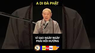 VÌ SAO NGÀY NGÀY PHẢI HỒI HƯỚNG? Pháp Sư Tịnh Không | Phật Pháp Nhiệm Màu